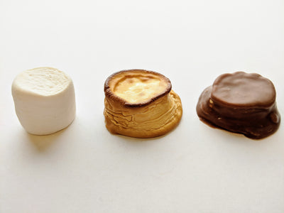 Roasted Marshmallow Hugs 4-Pack - Shop Vegan Chocolate Candies